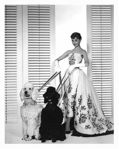 Постер Hepburn, Audrey (Sabrina) 14 с типом исполнения На холсте в раме в багетной раме 221-03
