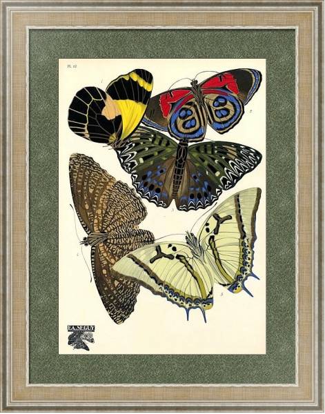 Постер Papillons by E. A. Seguy №4 с типом исполнения Акварель в раме в багетной раме 485.M40.584