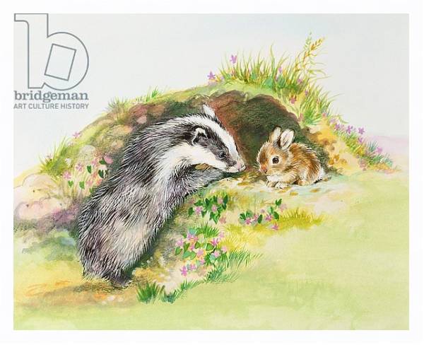 Постер Badger and a Rabbit с типом исполнения На холсте в раме в багетной раме 221-03