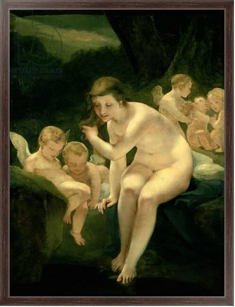 Постер Venus Bathing or Innocence с типом исполнения На холсте в раме в багетной раме 221-02