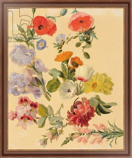 Постер Studies of Summer Flowers с типом исполнения На холсте в раме в багетной раме 35-M719P-83