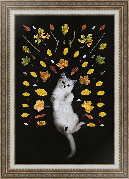 Постер Кот и осенние листья с типом исполнения На холсте в раме в багетной раме 595.M52.330