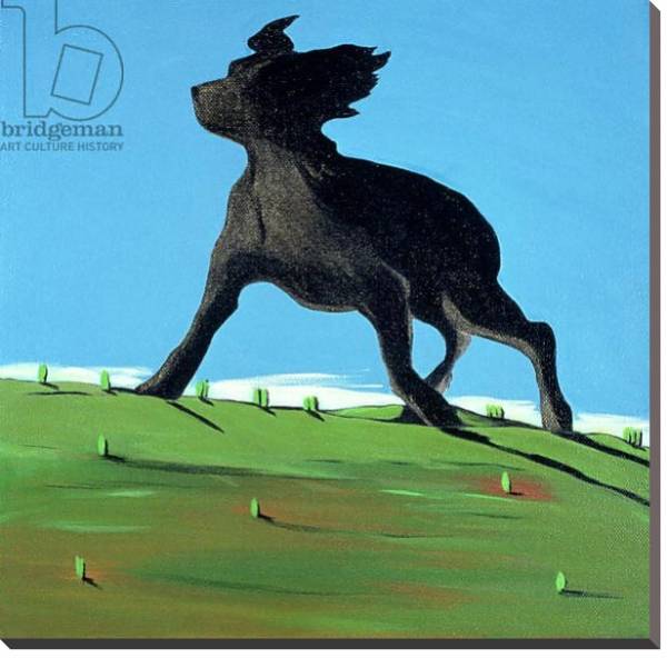 Постер Amazing Black Dog, 2000 с типом исполнения На холсте без рамы