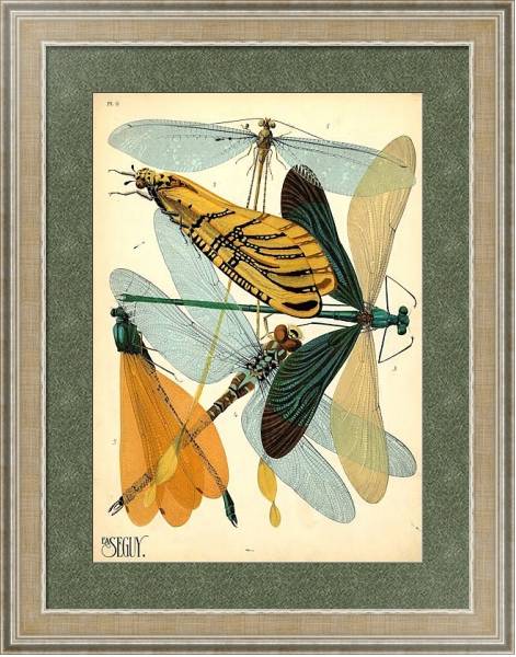 Постер Insects by E. A. Seguy №20 с типом исполнения Акварель в раме в багетной раме 485.M40.584