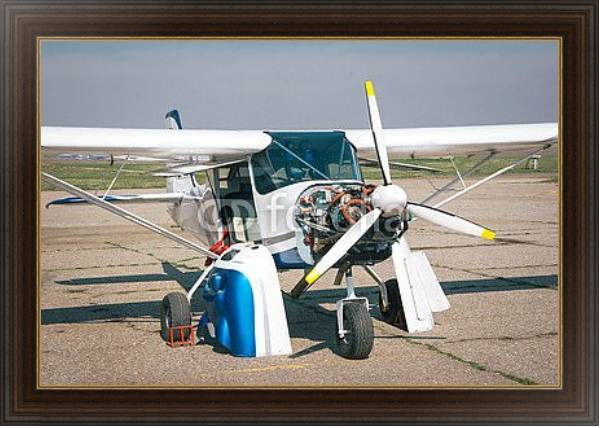 Постер легкий самолет с пропеллером с типом исполнения На холсте в раме в багетной раме 1.023.151