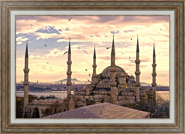 Постер Мечеть Султанахмет. Стамбул с типом исполнения На холсте в раме в багетной раме 595.M52.330