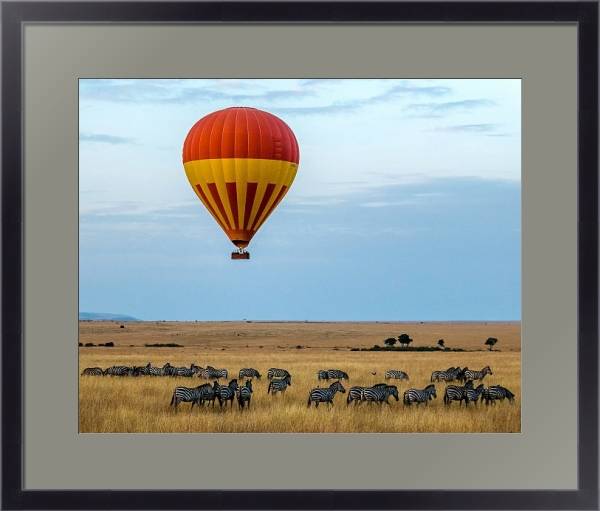 Постер Воздушный шар над стадом зебр в прерии с типом исполнения Под стеклом в багетной раме 221-01