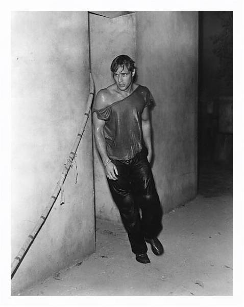 Постер Brando, Marlon (A Streetcar Named Desire) 6 с типом исполнения На холсте в раме в багетной раме 221-03