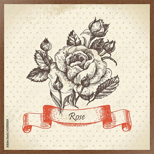 Постер Иллюстрация с розой и бутонами с типом исполнения На холсте в раме в багетной раме 1727.4310