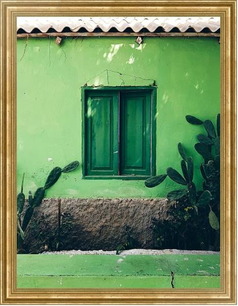 Постер Зеленый дом с кактусами с типом исполнения На холсте в раме в багетной раме NA033.1.051