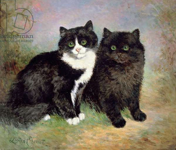 Постер A Pair of Pussy Cats с типом исполнения На холсте без рамы