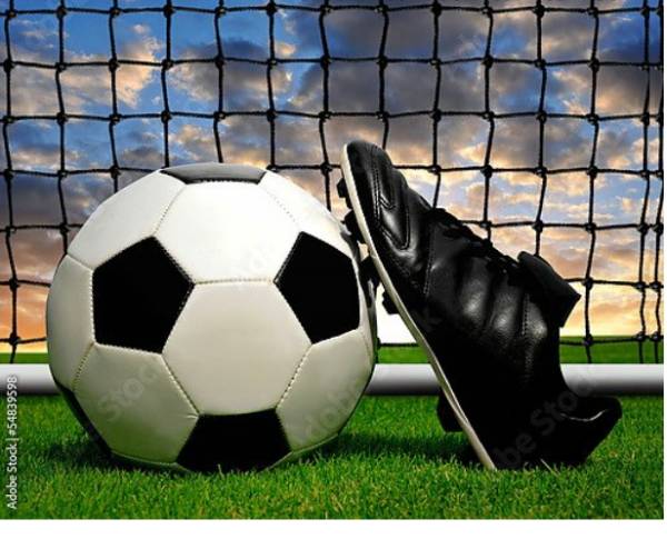 Постер Футбольный мяч и бутса с типом исполнения На холсте без рамы