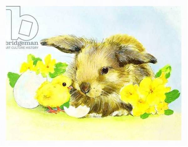 Постер Easter bunny with primrose and chick с типом исполнения На холсте в раме в багетной раме 221-03