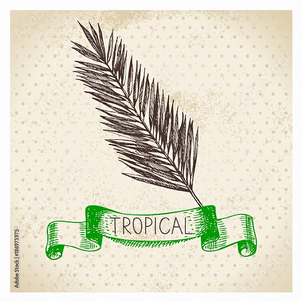 Постер Иллюстрация с пальмовым листом с типом исполнения На холсте в раме в багетной раме 221-03