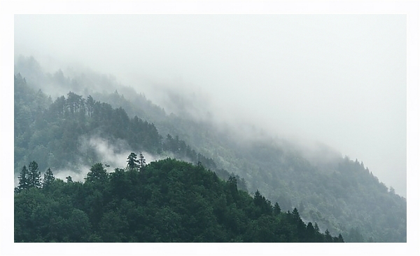 Постер Туманные леса на склонах холмов с типом исполнения На холсте в раме в багетной раме 221-03