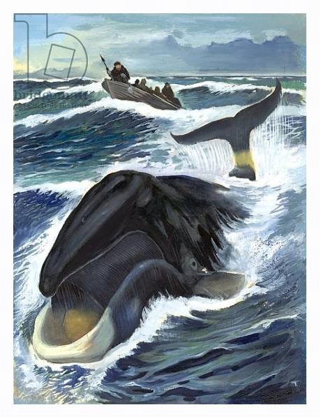Постер Whaling с типом исполнения На холсте в раме в багетной раме 221-03