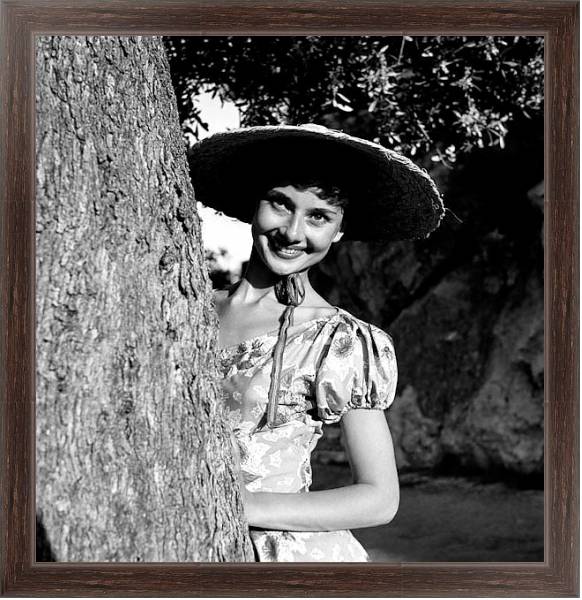 Постер Хепберн Одри 15 с типом исполнения На холсте в раме в багетной раме 221-02