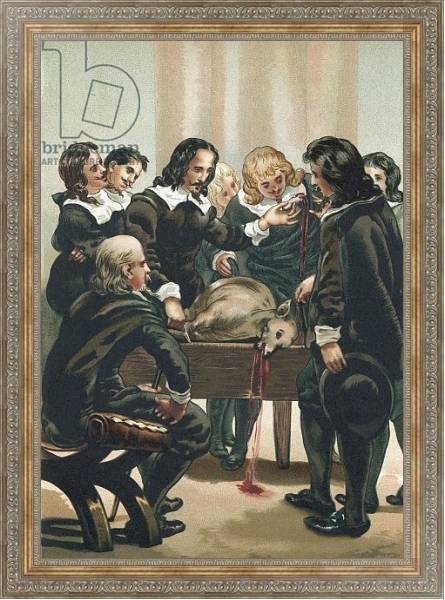 Постер William Harvey demonstrating the circulation of the blood с типом исполнения На холсте в раме в багетной раме 484.M48.310