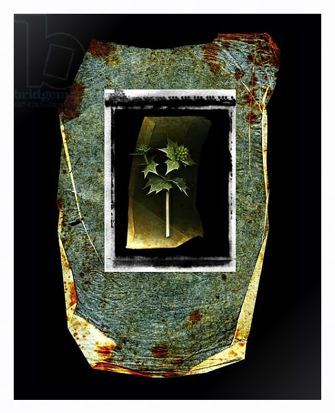 Постер Mare Nostrum, 2010,photographic contamination с типом исполнения На холсте в раме в багетной раме 221-03