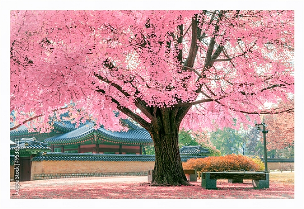 Постер Розовое дерево, Япония с типом исполнения На холсте в раме в багетной раме 221-03