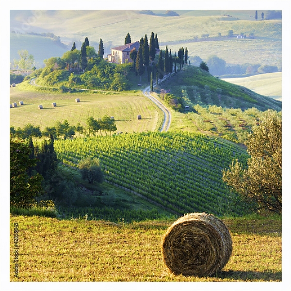 Постер Италия, Тоскана с типом исполнения На холсте в раме в багетной раме 221-03