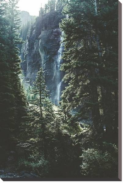 Постер Высокий водопад в еловом лесу с типом исполнения На холсте без рамы