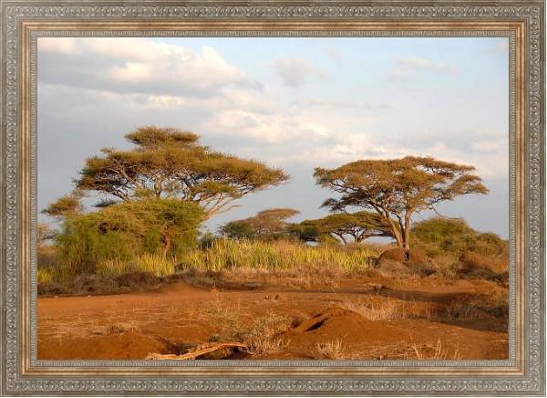 Постер Кения, Африка. Национальный парк 2 с типом исполнения На холсте в раме в багетной раме 484.M48.310