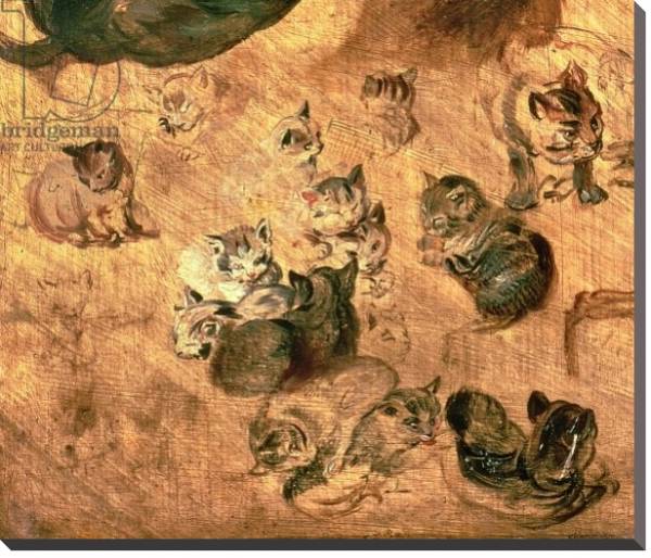 Постер Study of cats, 1616 с типом исполнения На холсте без рамы