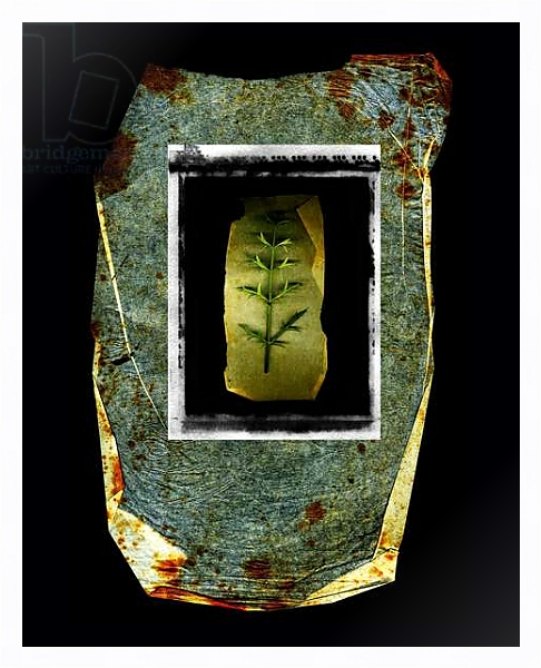 Постер Mare Nostrum, 2010, photographic contamination с типом исполнения На холсте в раме в багетной раме 221-03
