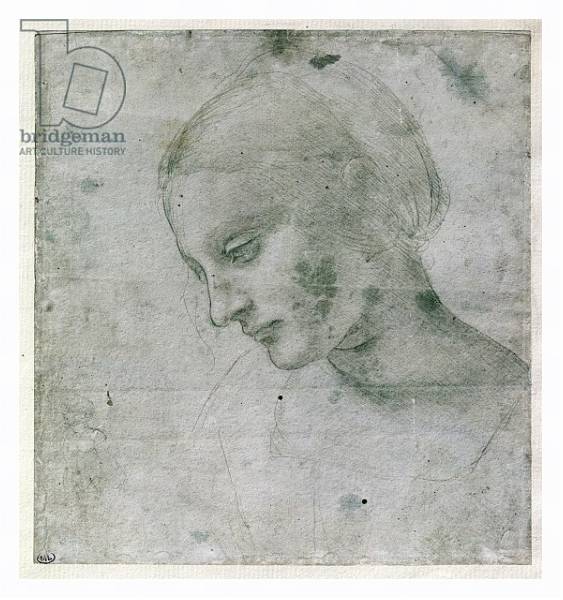 Постер Head of a Young Woman or Head of the Virgin, c.1490 с типом исполнения На холсте в раме в багетной раме 221-03