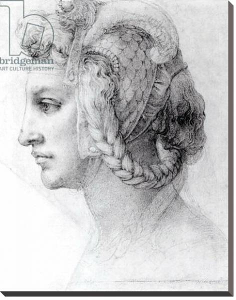 Постер Ideal Head of a Woman, c.1525-28 с типом исполнения На холсте без рамы