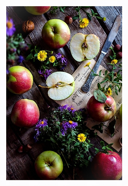 Постер Садовые яблоки, цветы и ноты с типом исполнения На холсте в раме в багетной раме 221-03