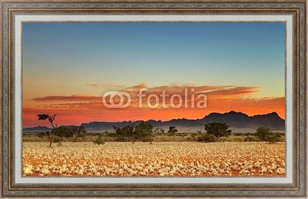 Постер Красочный закат в пустыне Калахари, Намибия с типом исполнения На холсте в раме в багетной раме 595.M52.330