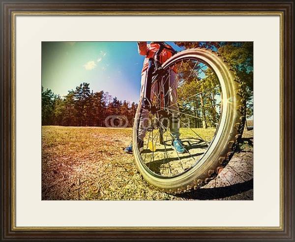 Постер Горный велосипед 2 с типом исполнения Под стеклом в багетной раме 1.023.036