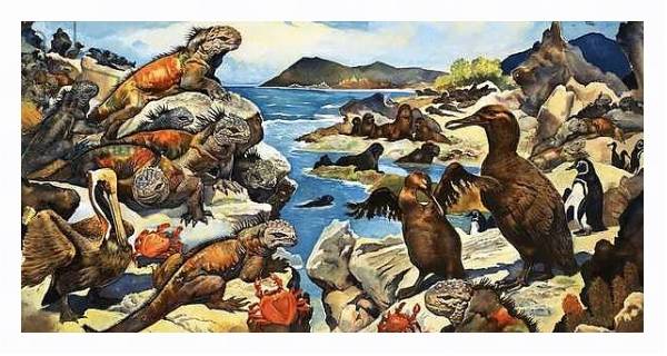Постер Unidentified lizards, birds, crabs and creatures on a rocky shoreline с типом исполнения На холсте в раме в багетной раме 221-03