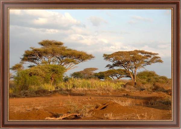 Постер Кения, Африка. Национальный парк 2 с типом исполнения На холсте в раме в багетной раме 35-M719P-83