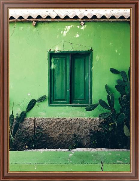 Постер Зеленый дом с кактусами с типом исполнения На холсте в раме в багетной раме 35-M719P-83