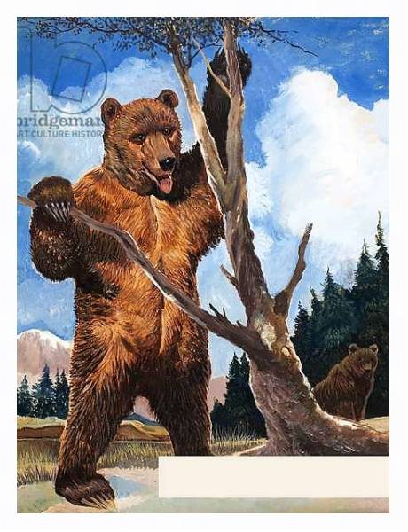 Постер Yogi Bear's Relatives at Home с типом исполнения На холсте в раме в багетной раме 221-03
