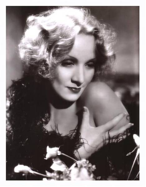 Постер Dietrich, Marlene 20 с типом исполнения На холсте в раме в багетной раме 221-03