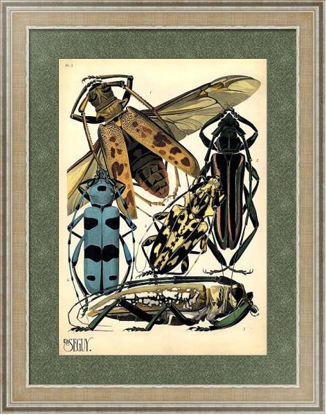 Постер Insects by E. A. Seguy №14 с типом исполнения Акварель в раме в багетной раме 485.M40.584