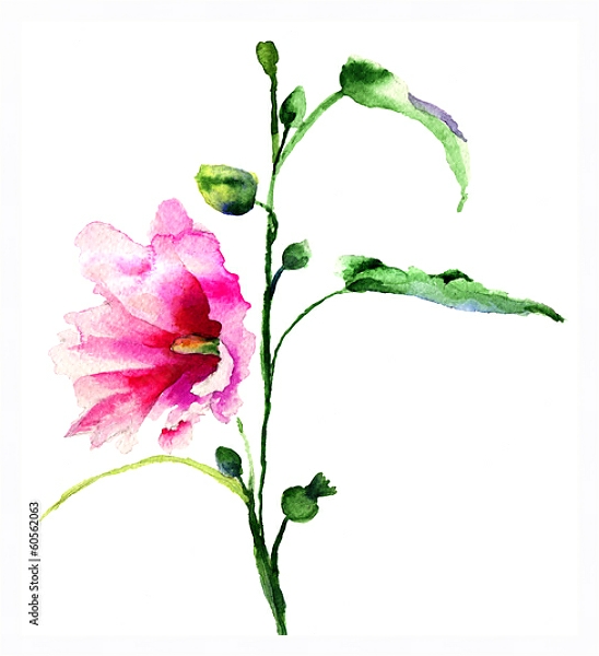 Постер Акварель. Цветок с типом исполнения На холсте в раме в багетной раме 221-03