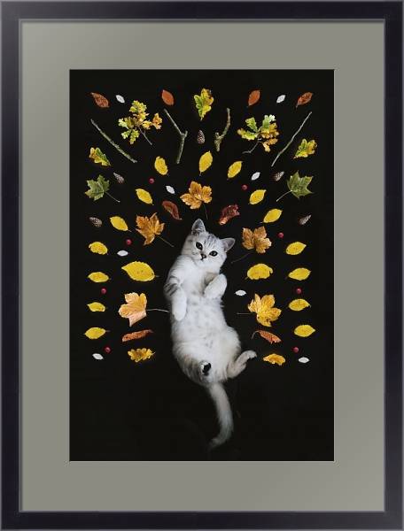 Постер Кот и осенние листья с типом исполнения Под стеклом в багетной раме 221-01