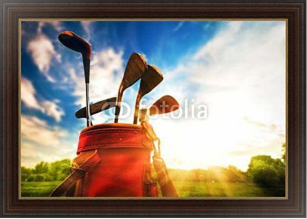 Постер Профессиональные принадлежности гольфиста с типом исполнения На холсте в раме в багетной раме 1.023.151