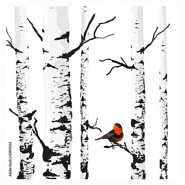 Постер Снегирь в березах с типом исполнения На холсте в раме в багетной раме 221-03