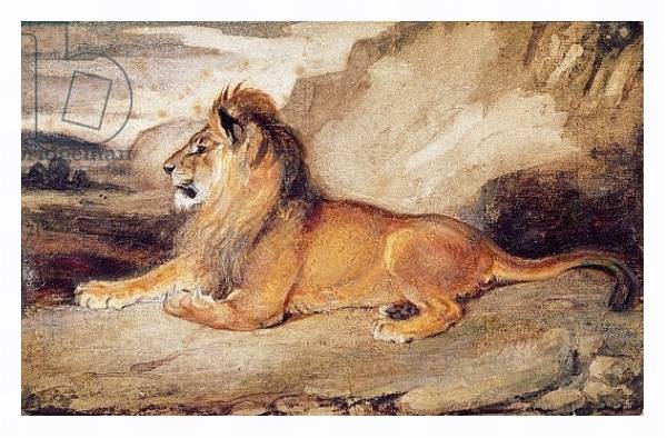 Постер Lion Resting с типом исполнения На холсте в раме в багетной раме 221-03