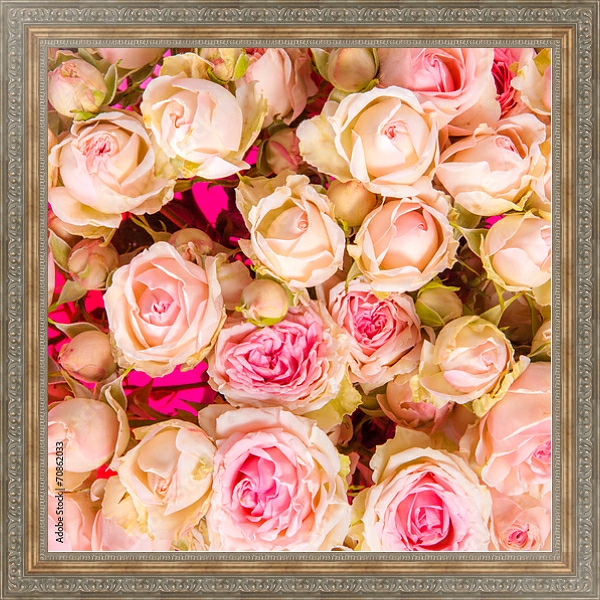 Постер Розы. Розовое облако. с типом исполнения На холсте в раме в багетной раме 484.M48.310