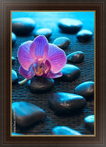 Постер Орхидея и камни 4 с типом исполнения На холсте в раме в багетной раме 1.023.151
