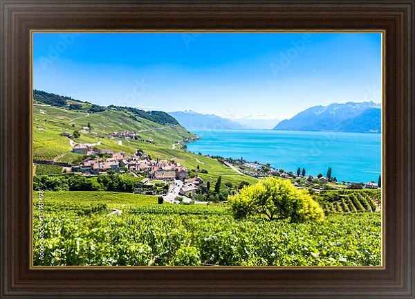 Постер Виноградники в регионе Лаво, Швейцария с типом исполнения На холсте в раме в багетной раме 1.023.151