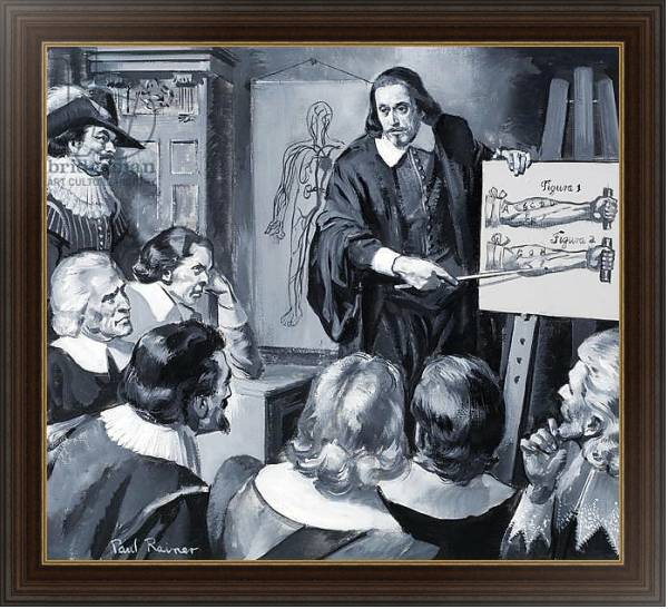 Постер William Harvey с типом исполнения На холсте в раме в багетной раме 1.023.151