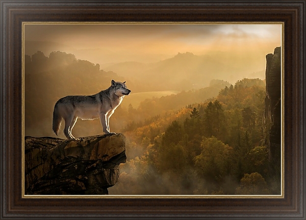 Постер Волк на скале с типом исполнения На холсте в раме в багетной раме 1.023.151